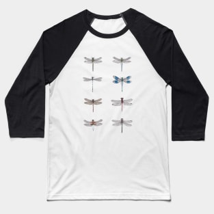 Dragonfly Studies Baseball T-Shirt